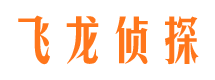 肥西寻人公司